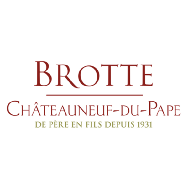 CHATEAUNEUF-DU-PAPE 2019 ROUGE - DOMAINE BARVILLE